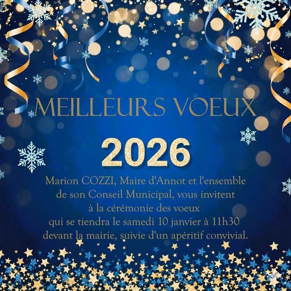 Voeux 2025