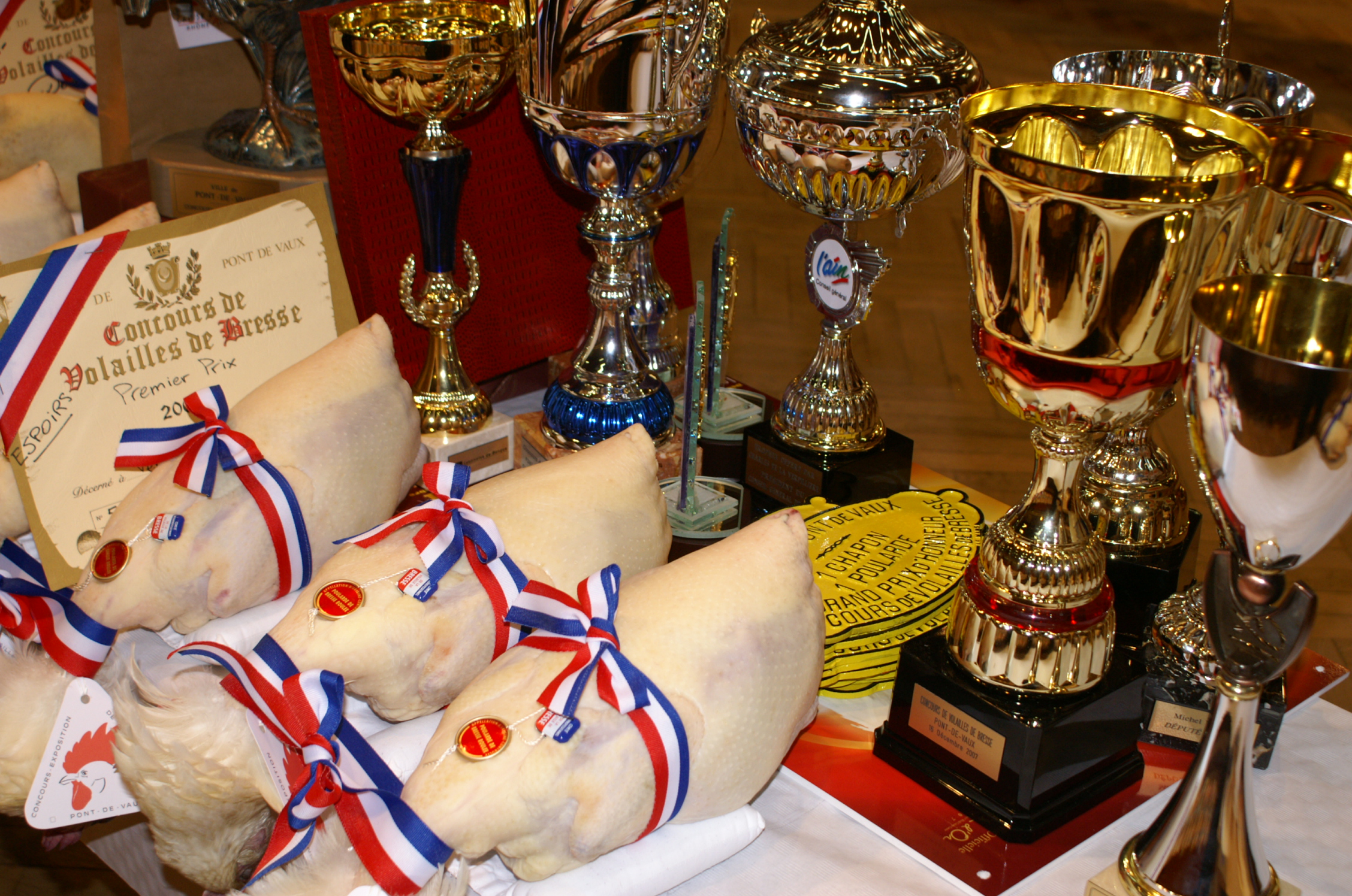 102ème Concours de volailles "Les Glorieuses de Bresse"