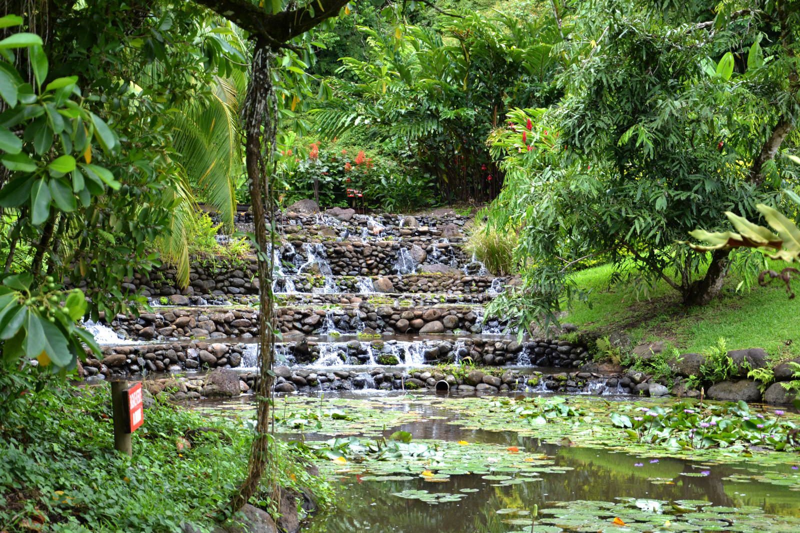 Jardins d'eau de vaipahi