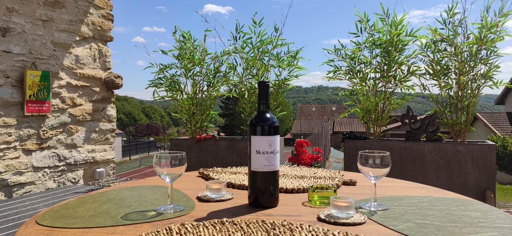 Le Lemon Tree - Gîte 4* à Panossas - Balcons du Dauphiné