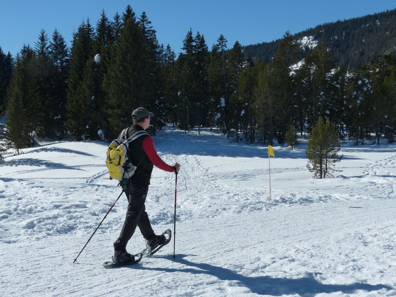 Raquette Plateau des Glières