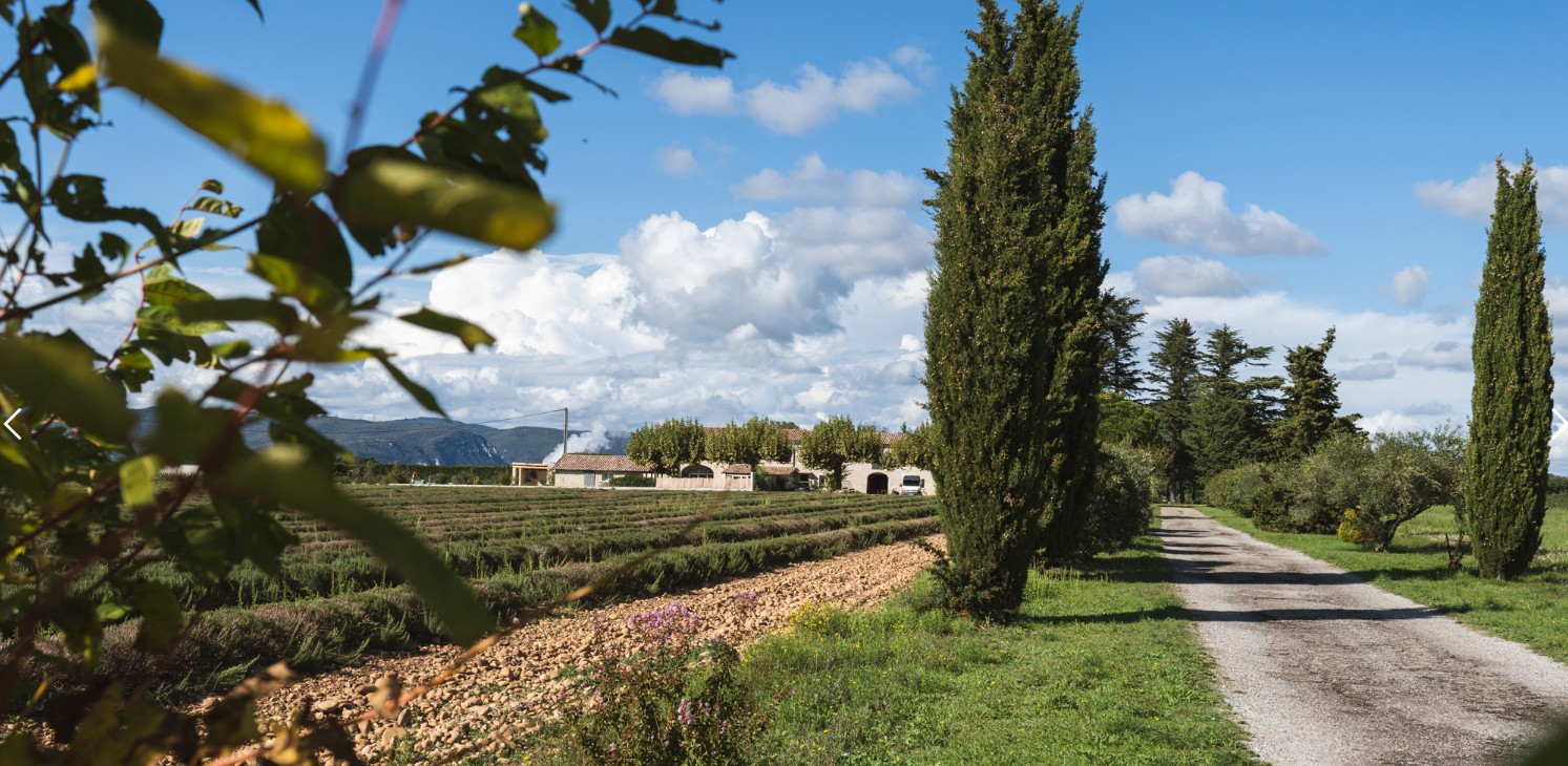 Balade Découverte des plantes médicinales au Domaine du Bois de Laud