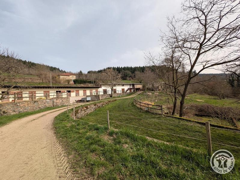 Grand Gîte - 15 personnes - \