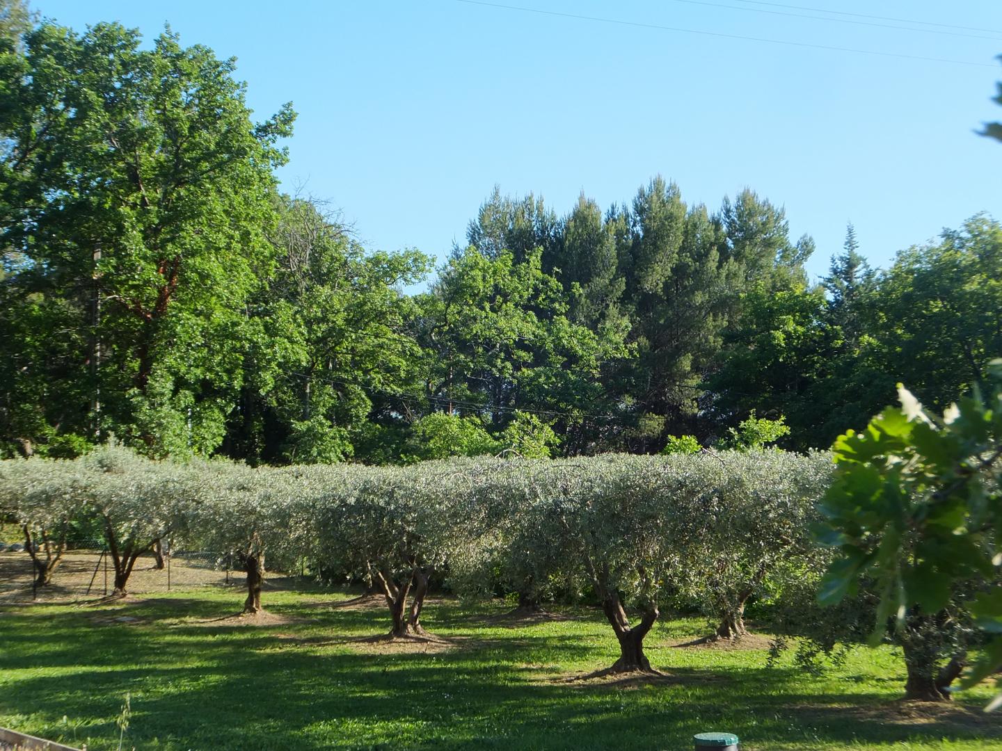 Eden, Saint-Cannat - photo 38