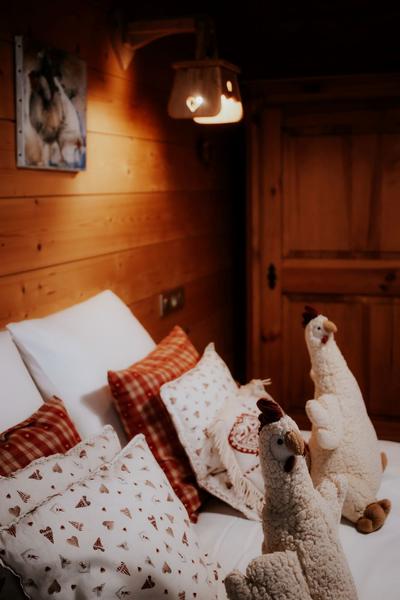 Chalet Le Jardin d'Hiver_La Toussuire