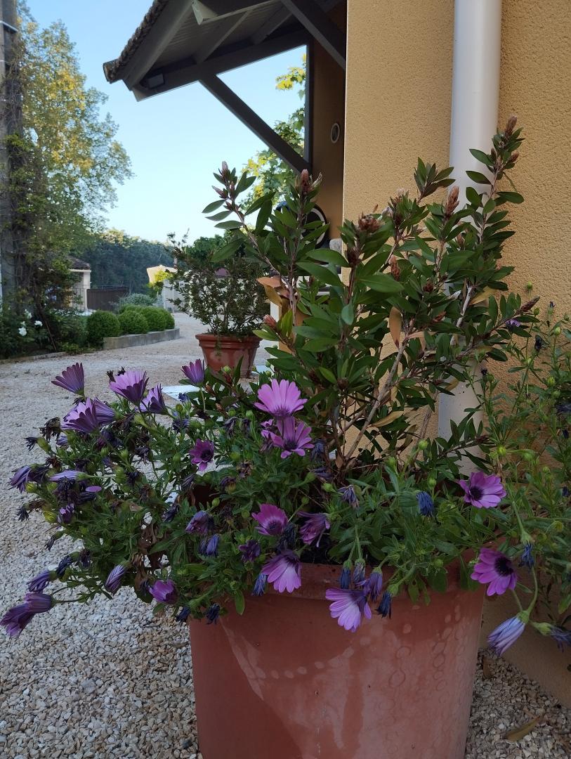Gîte du Grand Mas, Noves - photo 34