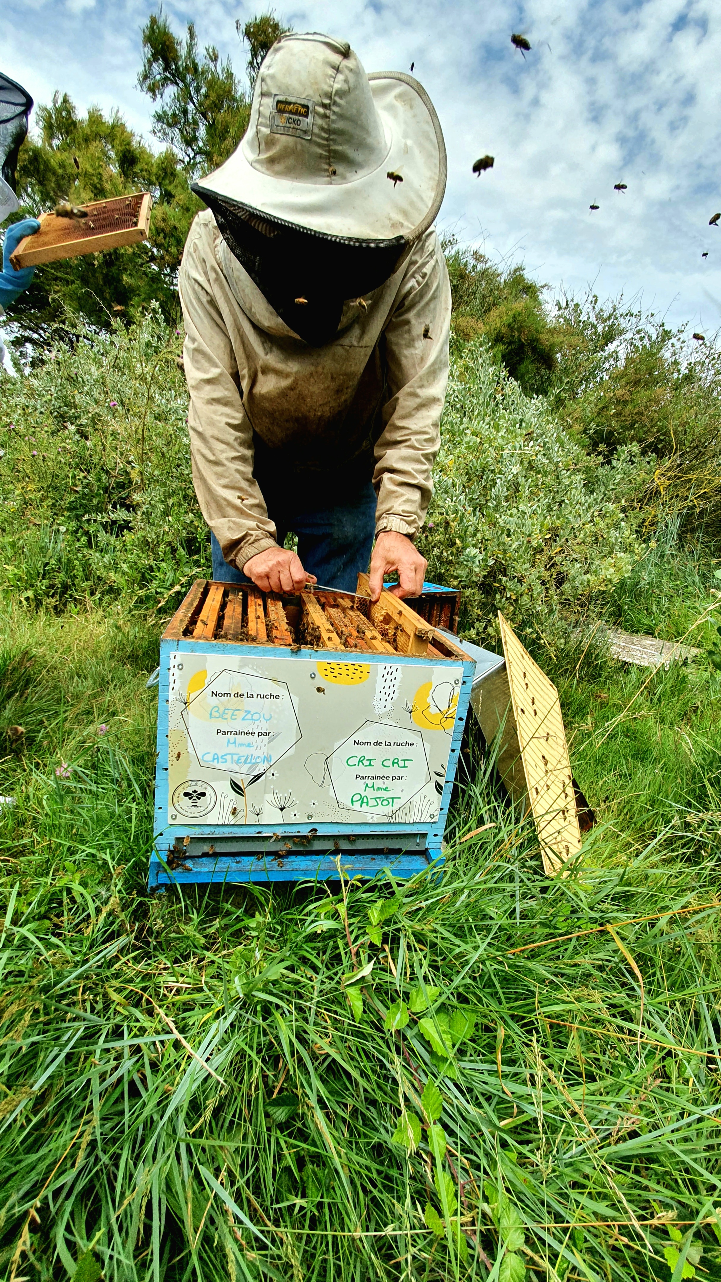 Parrainage de ruche par L'Abeille de Ré