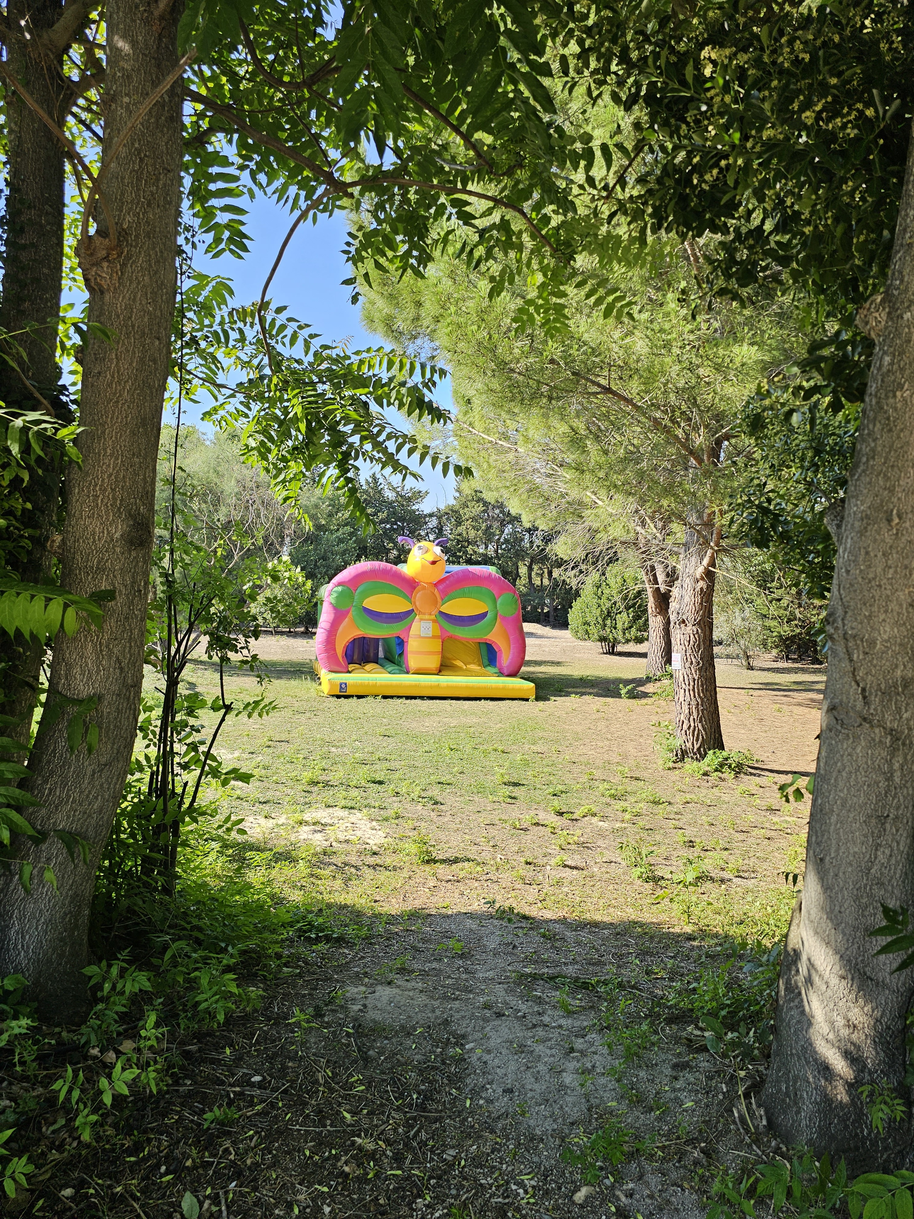 Les Micocouliers, Graveson - photo 20