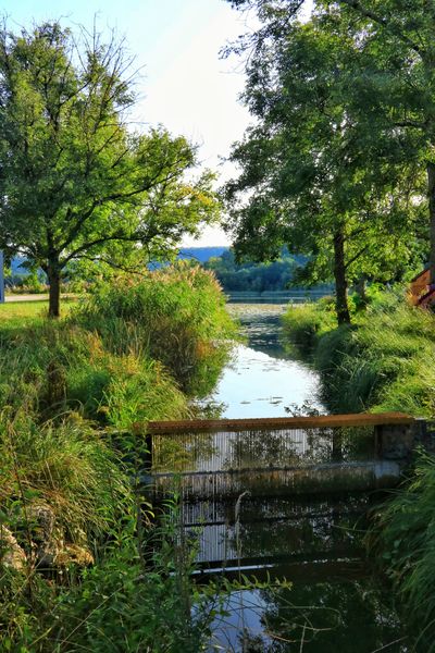 Randonnée Lac et vignobles