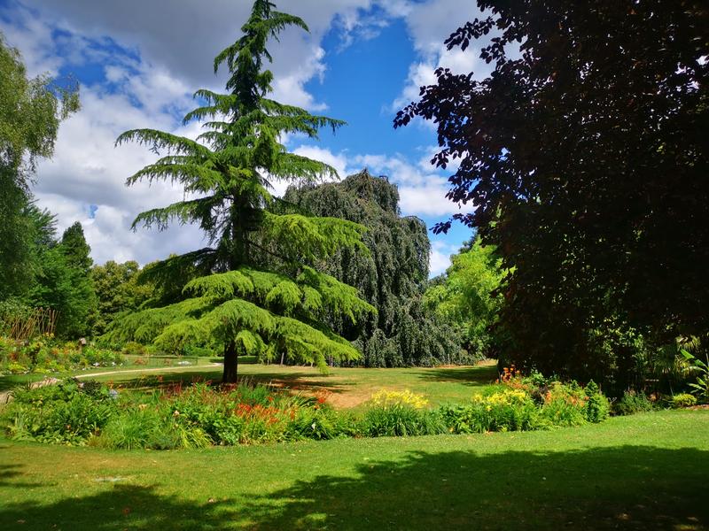 Parc arboré 
