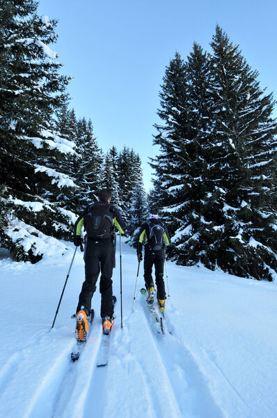 Itinéraire ski de randonnée : Les Coches - Plan Bois
