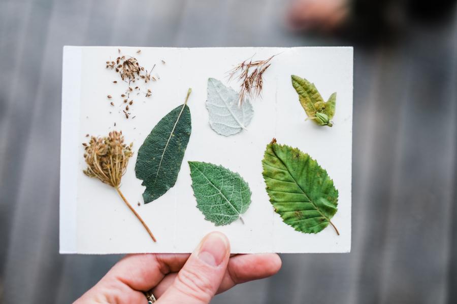Animation nature sur les ENS : impressions sur tissu et bricolage nature_Arandon-Passins-Balcons du Dauphiné