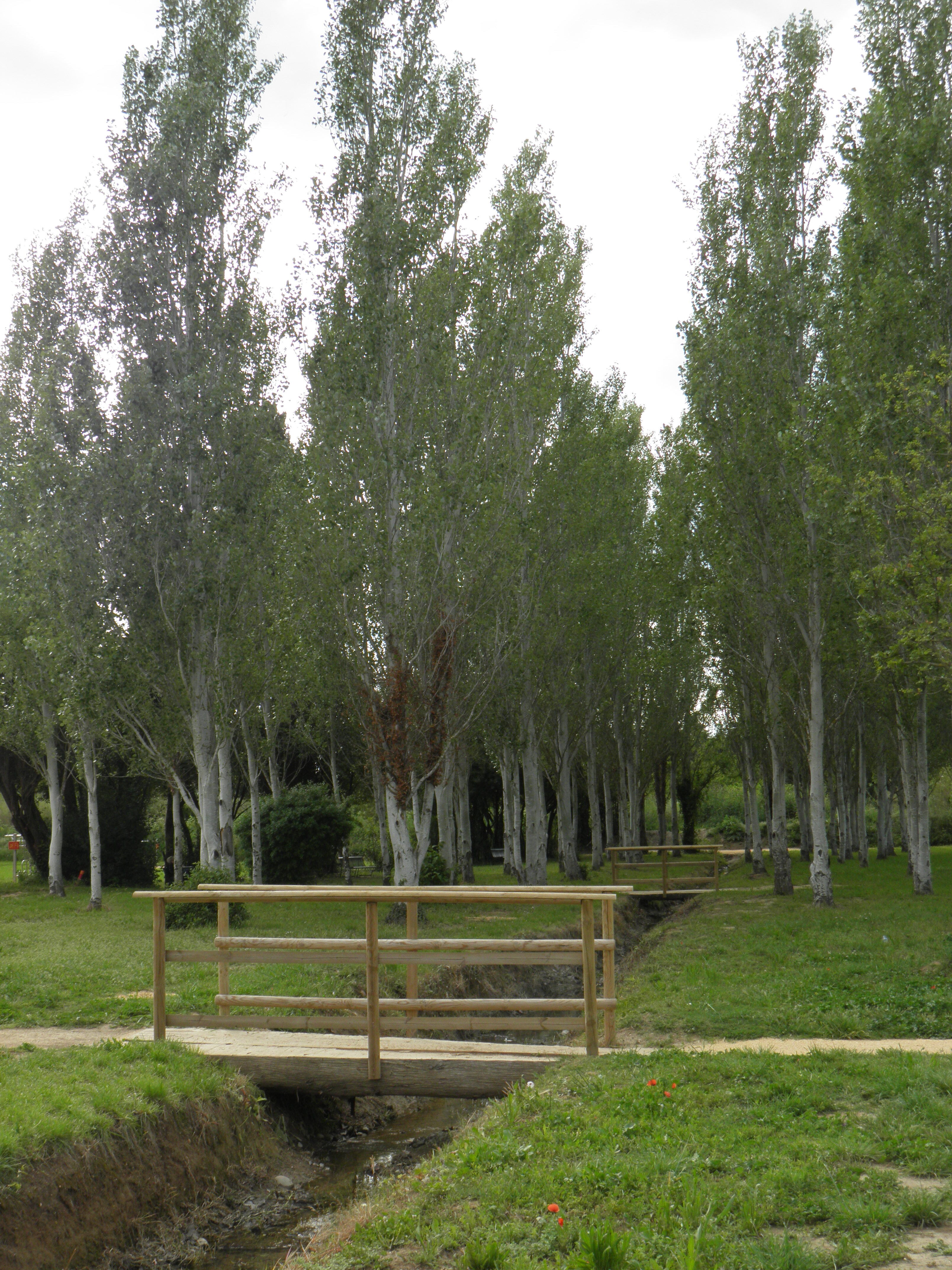 Pumptrack et parcours de santé, Eyragues - photo 6