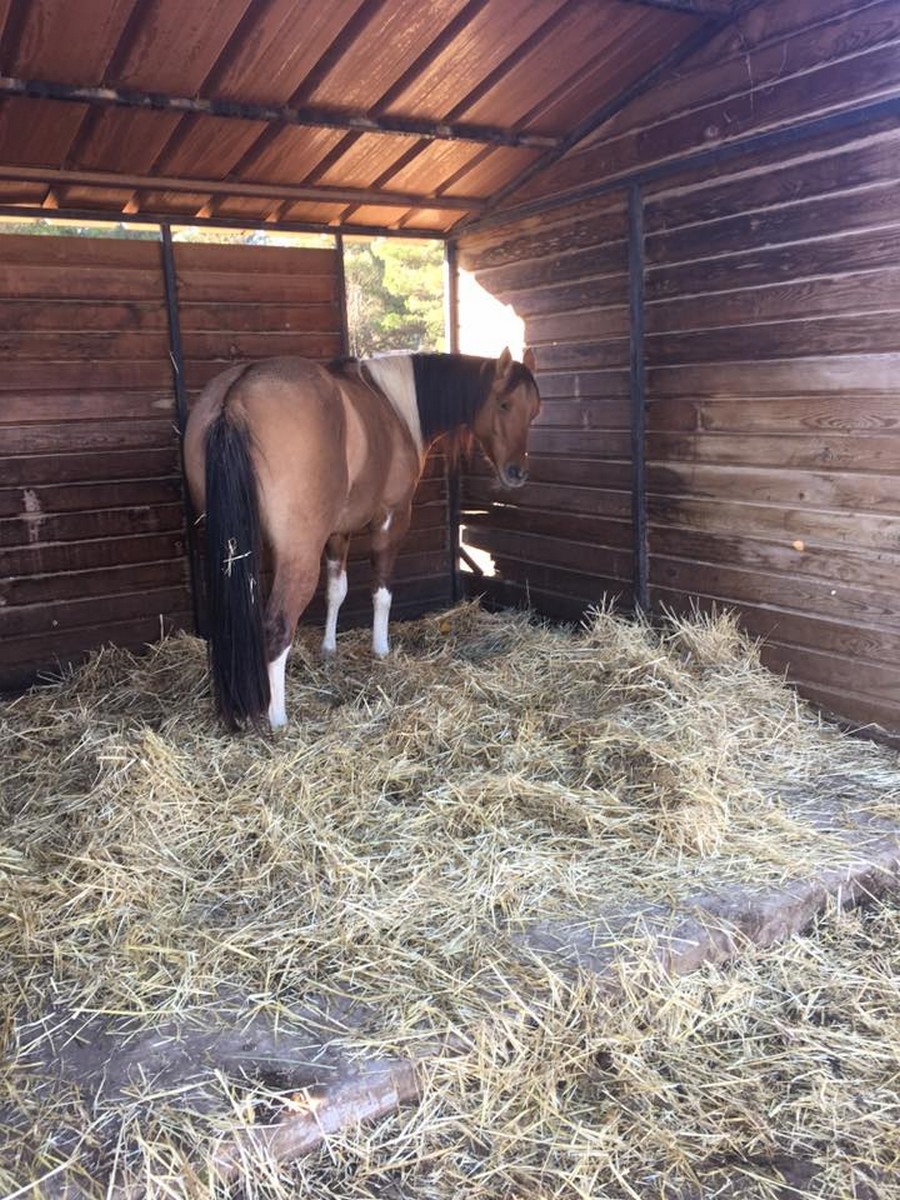 Coyote Girls Ranch, Fuveau - photo 2