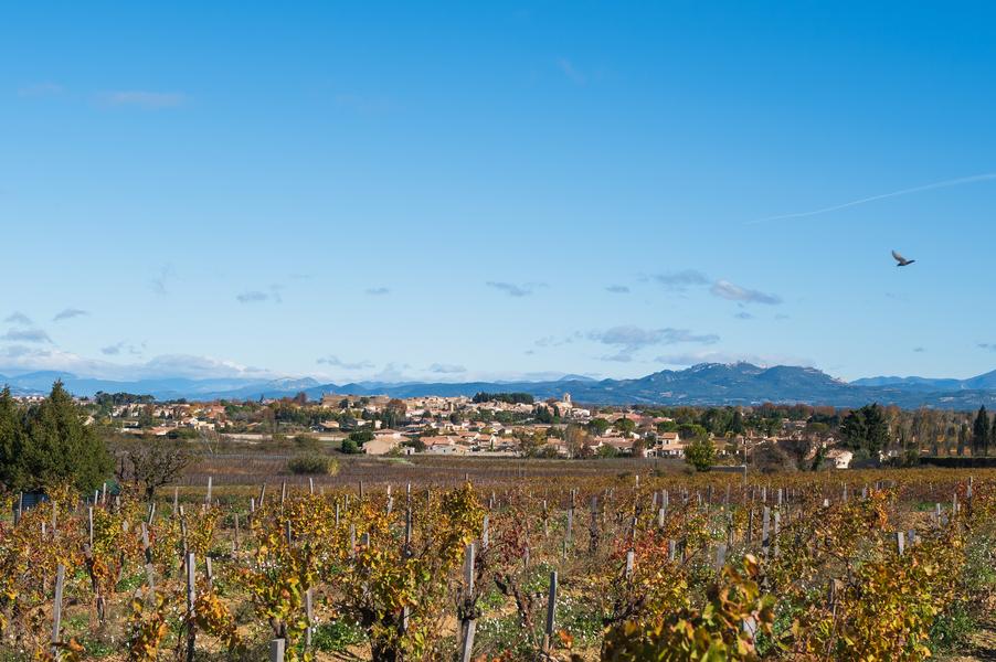 R09 - Etang salé de Courthézon_Courthézon