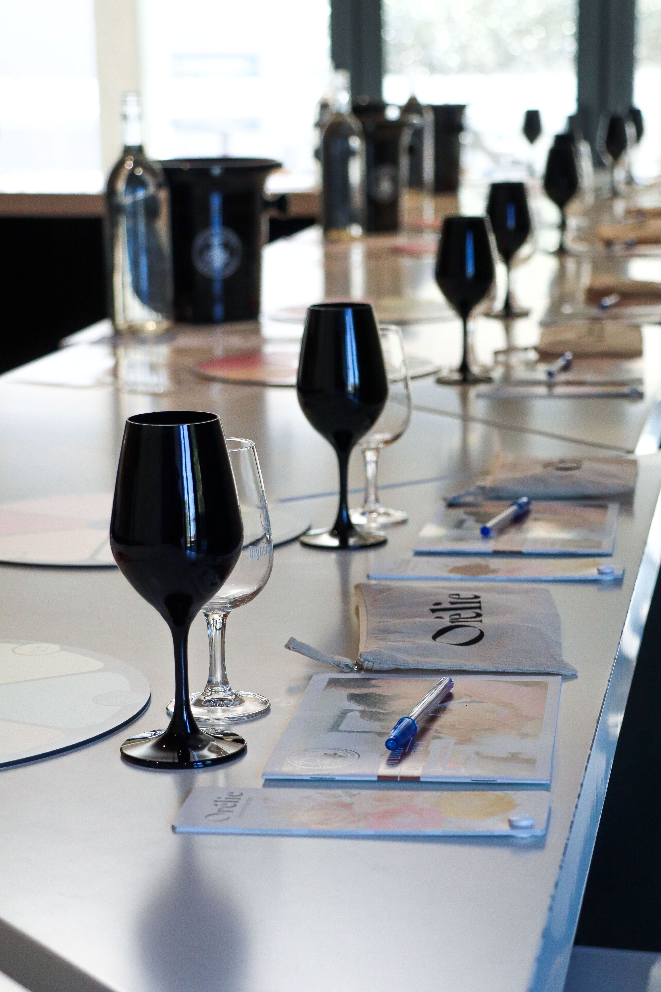 degustation Néovinum Vignerons Ardéchois apidae 2