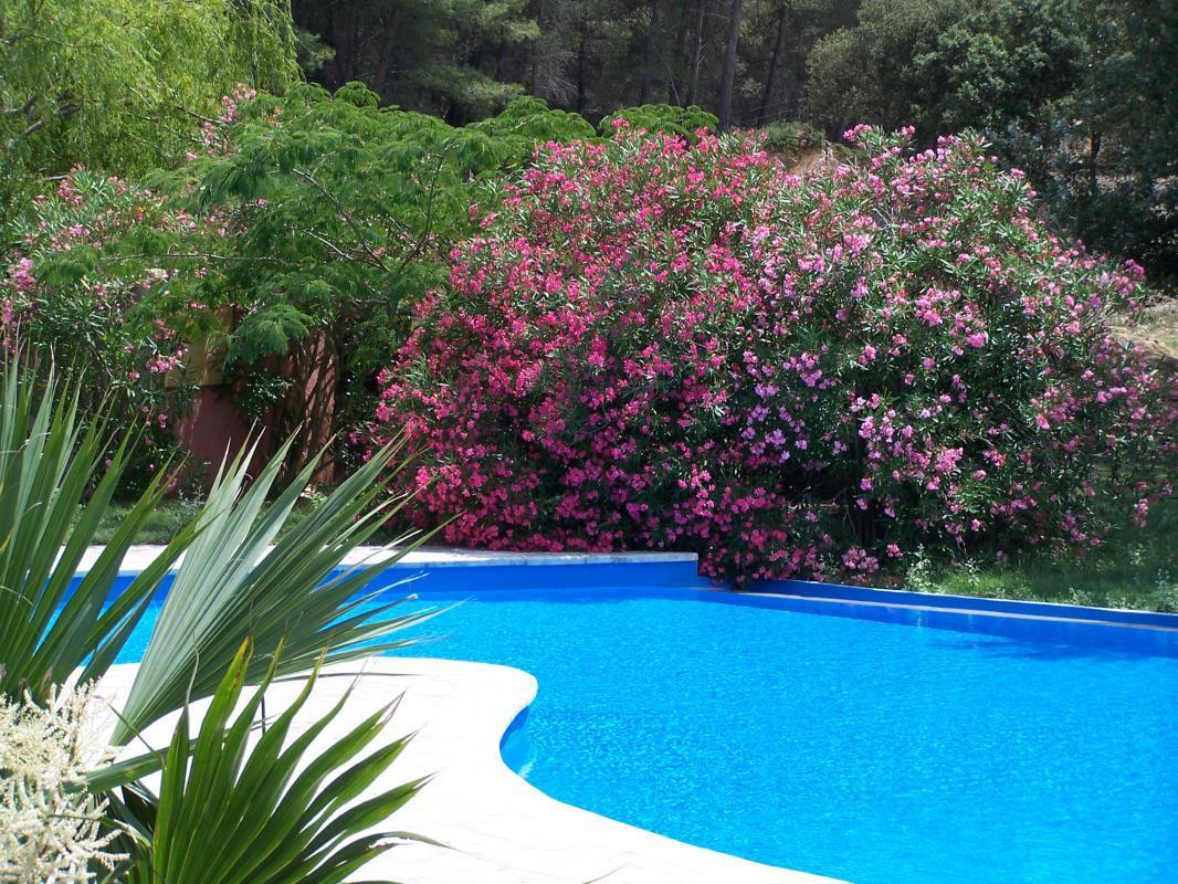 Le Rosier, Les Baux-de-Provence - photo 18