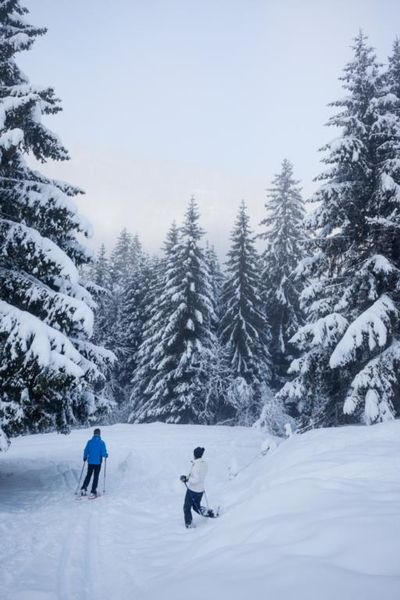 A travers les alpages - randonnée raquettes pays d'Evian