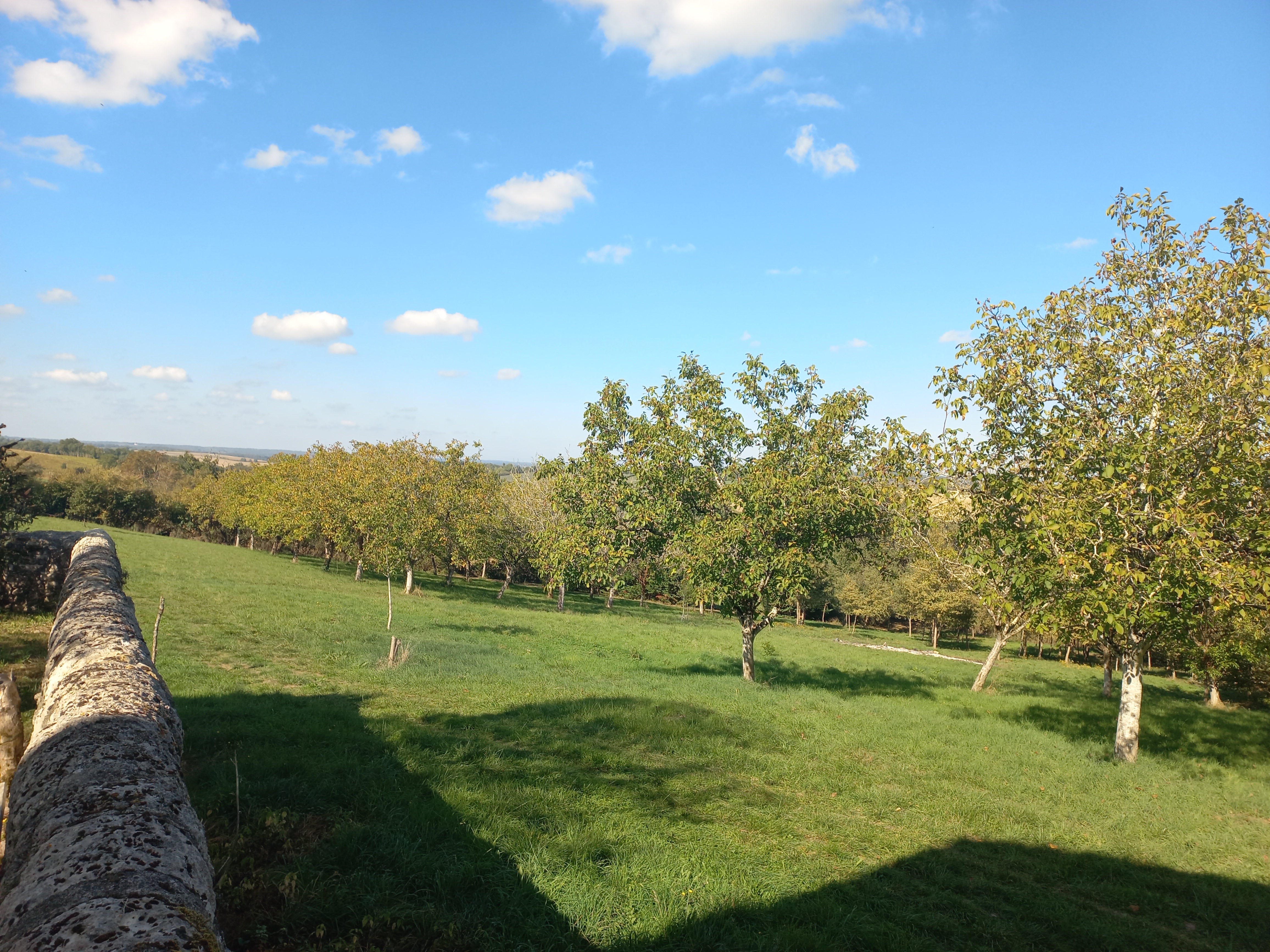 Domaine de Nogueres_Lauraët