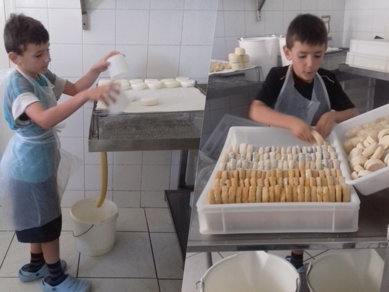 Confection des fromages de la Ferme du Naray