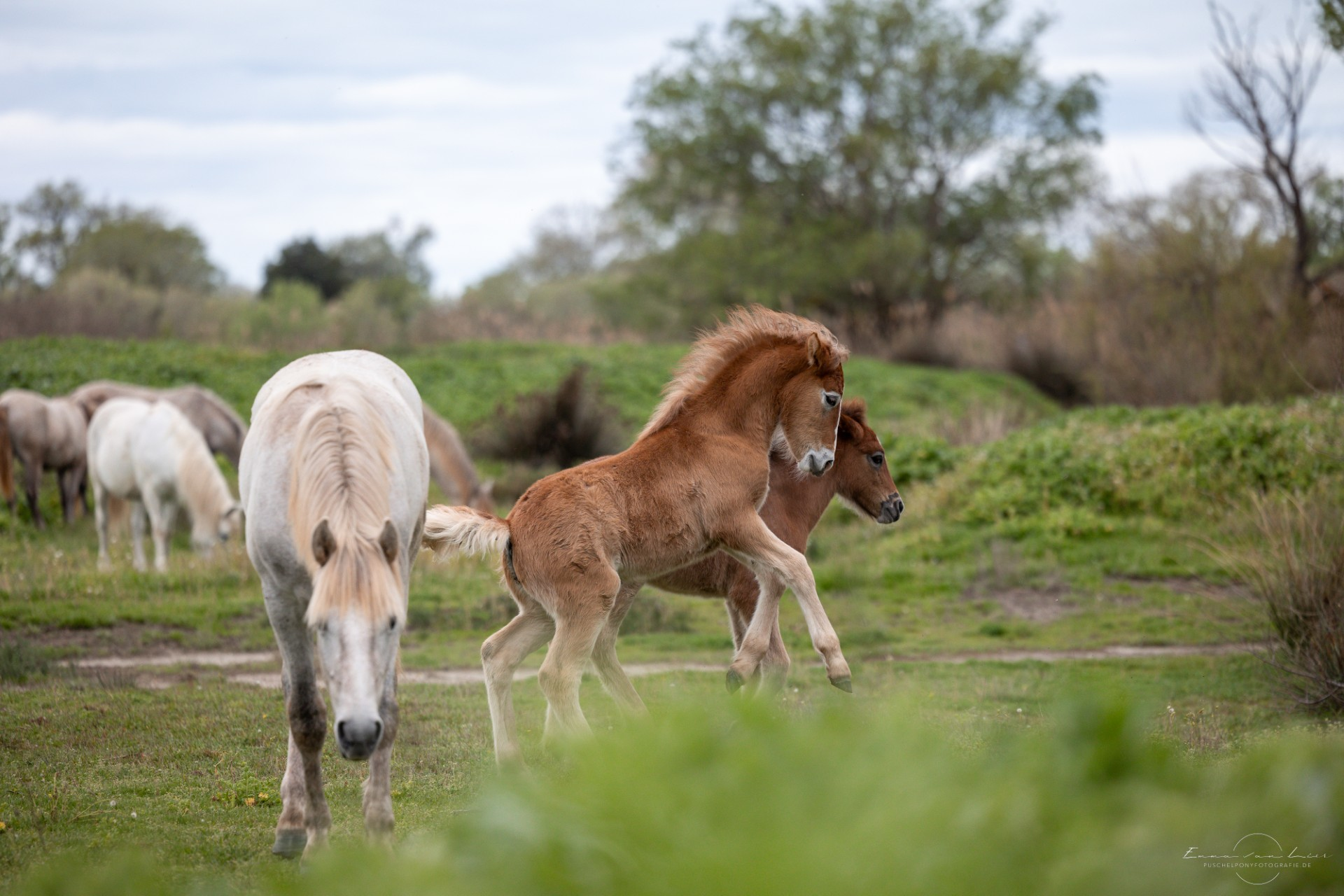 6c84d1a2-28cf-41d5-8b1f-28bc487853a3