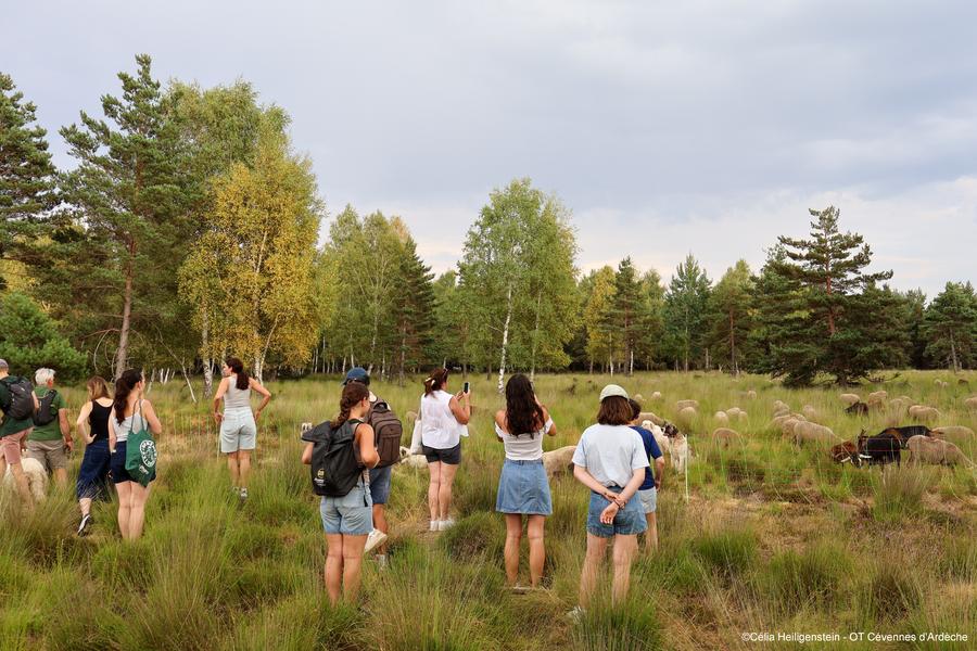 Soirée pastorale avec le berger_Montselgues