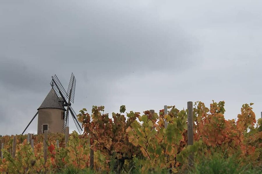 Moulin à Vent