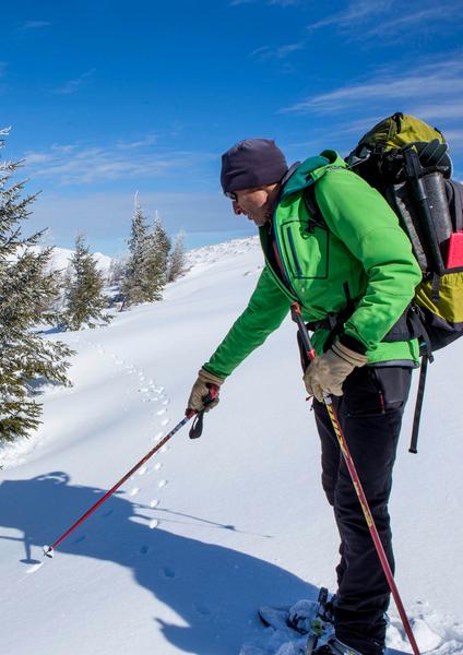 De pas en pattes à Super-Besse, randonnée accompagnée
