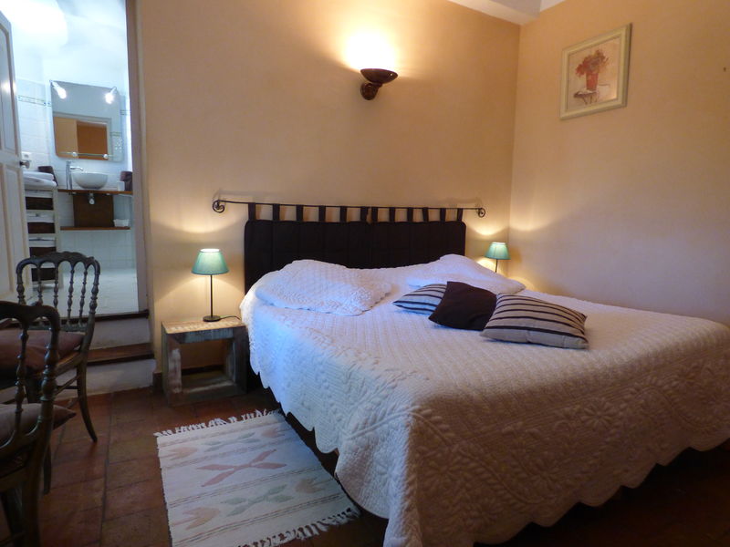 Château de Nestuby - Cotignac