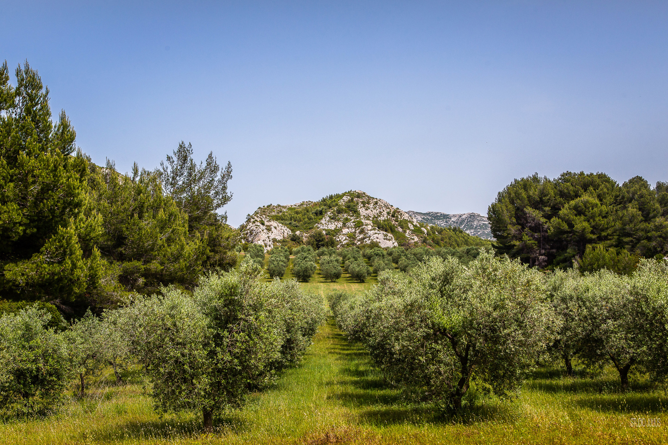 Oppidum des Caisses de Jean-Jean - photo 3
