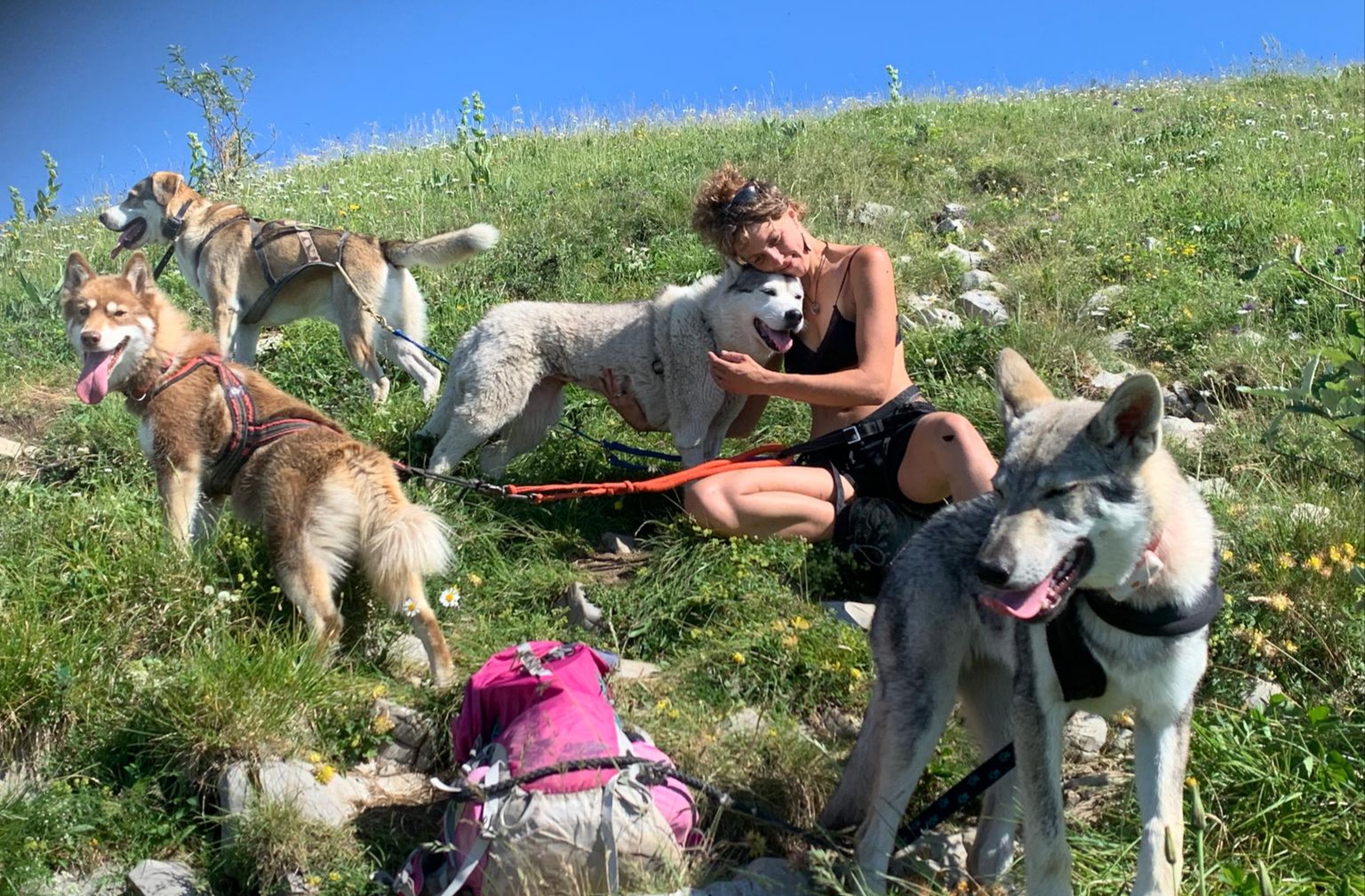 Cani-rando avec Symbiose