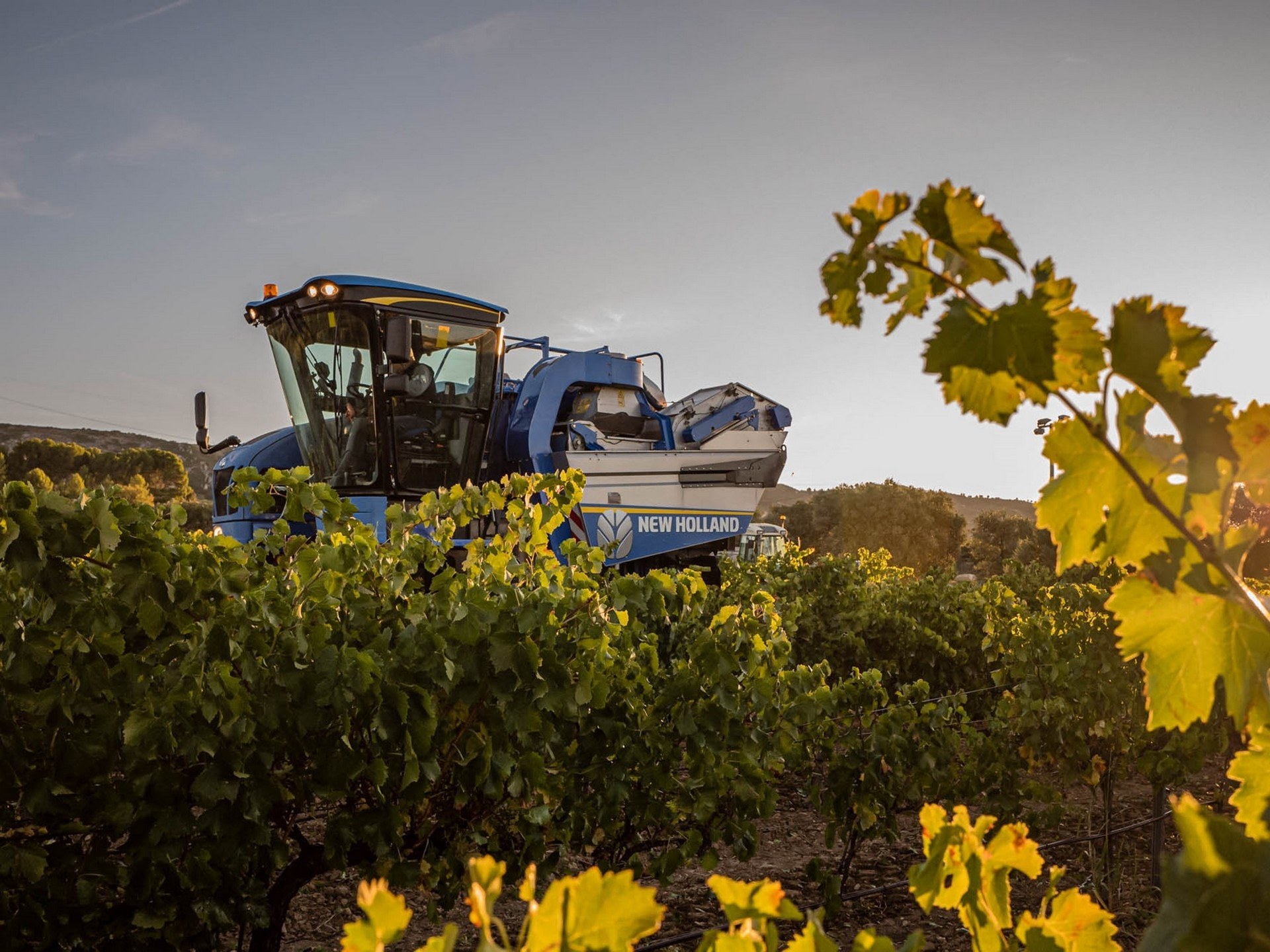 Château Saint-Hilaire - photo 2