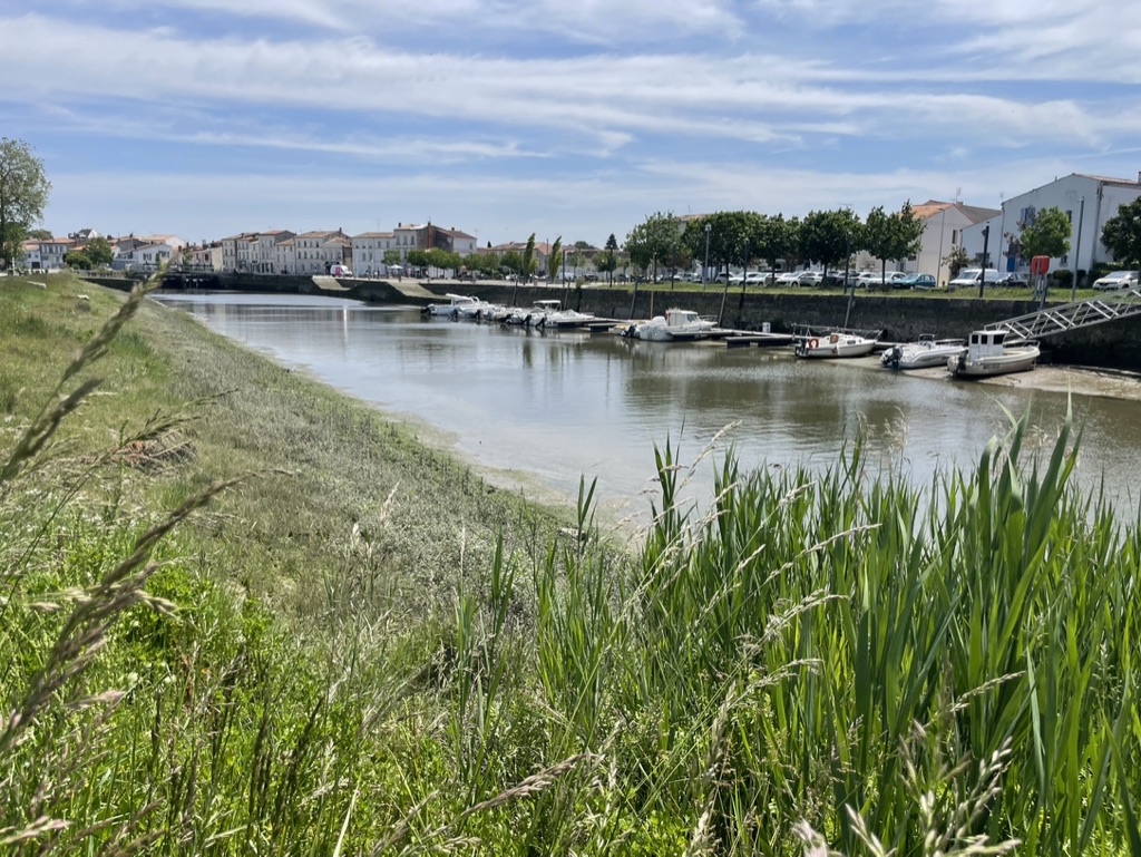 Découverte de la passe à la civelle à Saujon