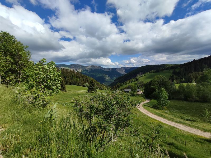Circuit des Montagnes du Haut-Jura
