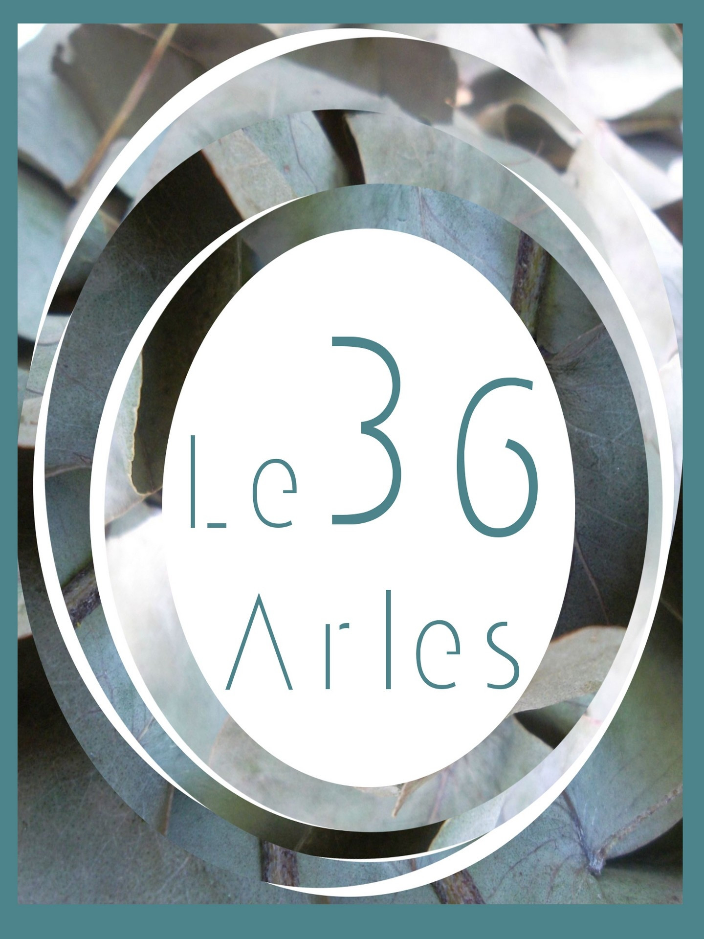 Le 36