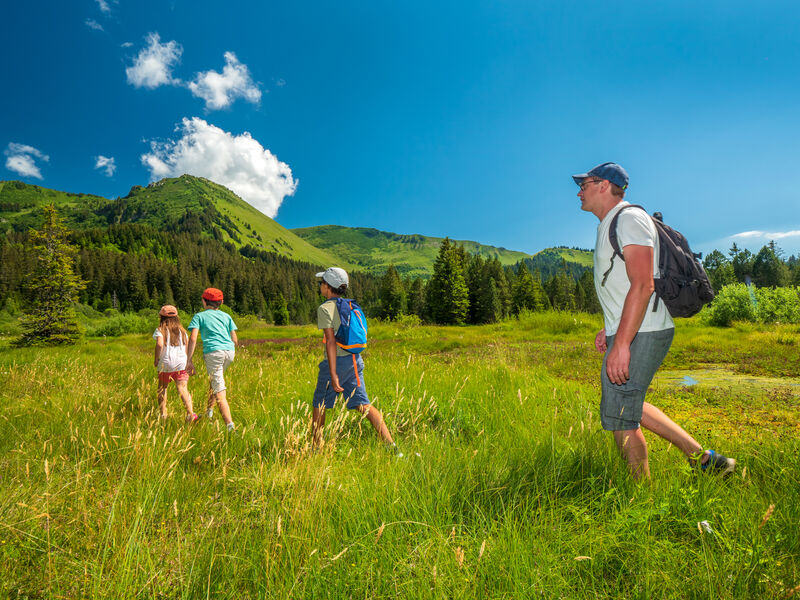 Tourbière de Sommand