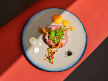 Olea_Villeneuve-Loubet