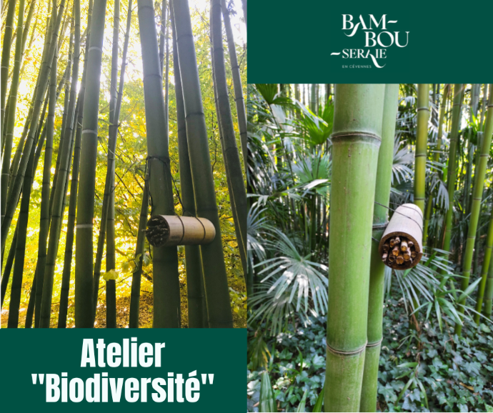Atelier Biodiversité_Générargues