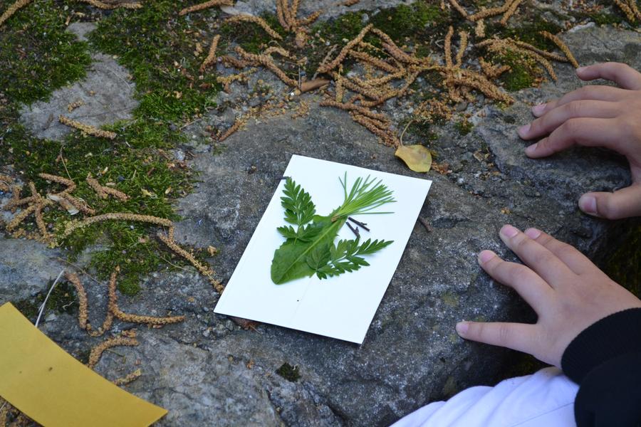 Atelier Land'Art
