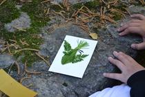 Atelier Land'Art