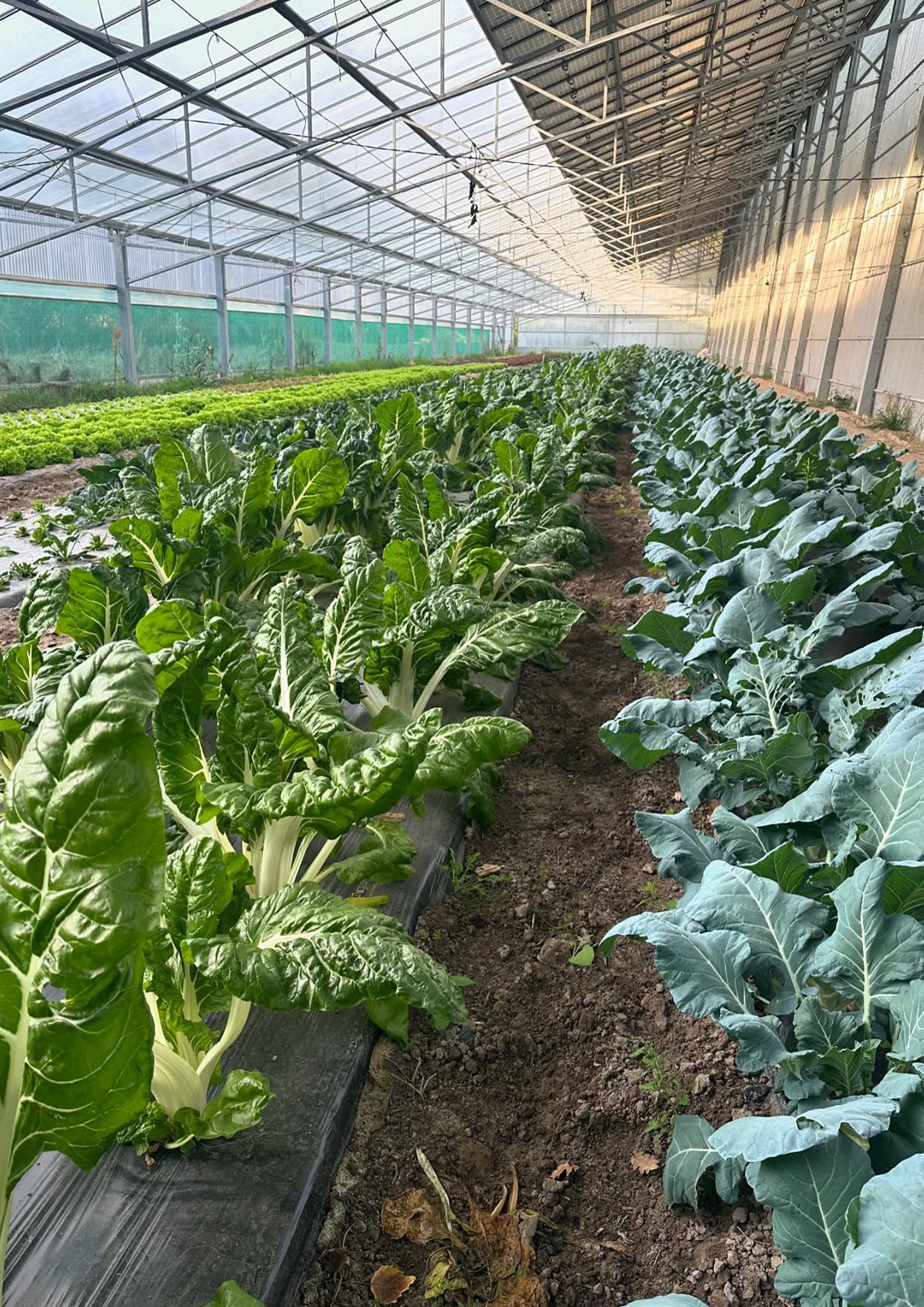 La petite ferme pédagogique de Saint-Rémy - Producteur