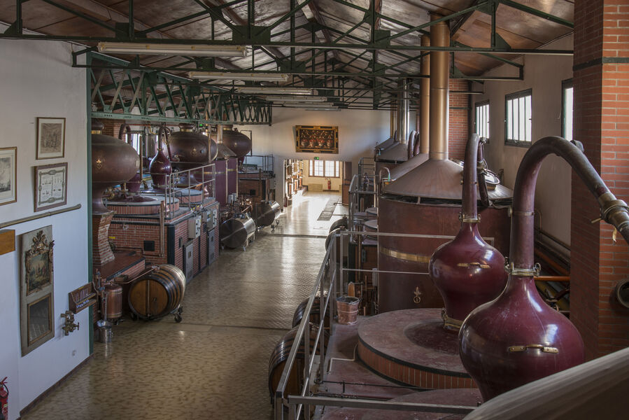 Visite guidée - Distillerie des Moisans