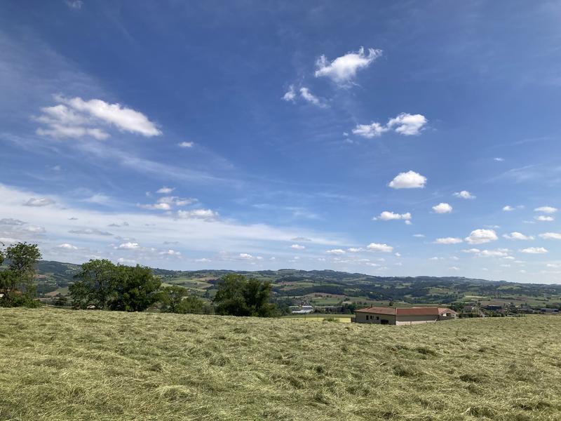 Sentier piétonnier Chazelles-sur-Lyon / Saint-Symphorien-sur-Coise par Hurongues_Chazelles-sur-Lyon