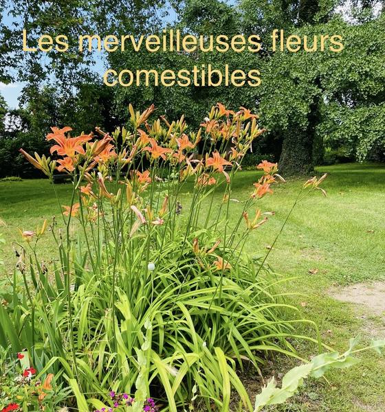 Atelier « Les fleurs, les goûts et les couleurs ! Quand la nature se déguste comme une oeuvre d’art… » - Journée nationale du commerce de proximité et de l’artisanat