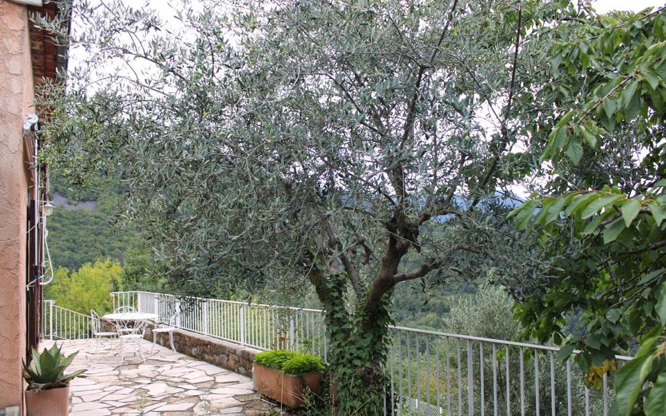 Gîte Le Belvédère-Terrasse-Belvédère-Gîtes de France des Alpes-Maritimes