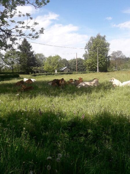 GAEC de Ladrech