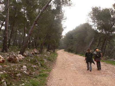 Le sentier du Limbert, Gémenos - photo 2