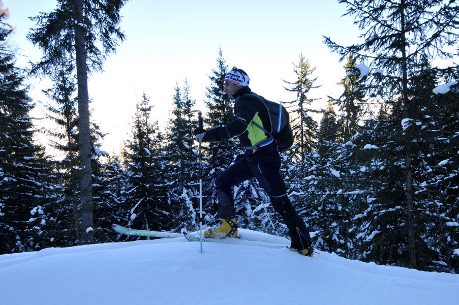 Itinéraire ski de randonnée : Les Coches - Plan Bois