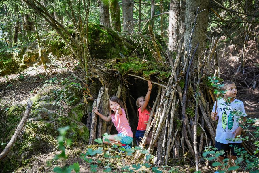 Construction de cabane