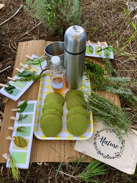 DÉGUSTATION DE GOURMANDISES À BASE DE FEUILLES D’ARBRES